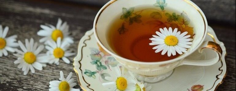 أفضل 8 أنواع شاي لفقدان الوزن وحرق الدهون