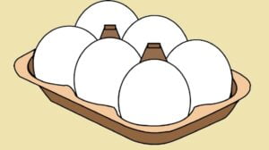البيض 10 فوائد صحية وحقائق غذائية عنه