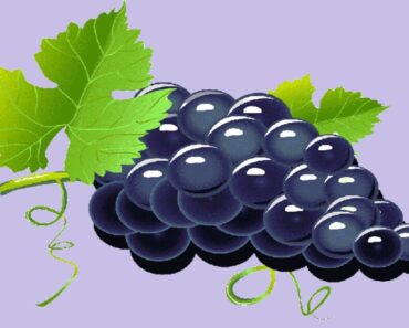 ما هي فوائد العنب؟طريقة عمل عصير العنب وما فائدته؟