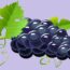 ما هي فوائد العنب؟طريقة عمل عصير العنب وما فائدته؟
