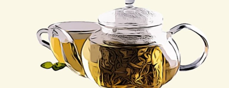 ماهي فوائد وأضرار شاي الشمر؟ طريقة عمل شاي الشمر