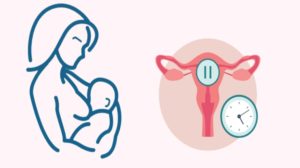 هل من الطبيعي انقطاع الدورة الشهرية بعد الولادة؟