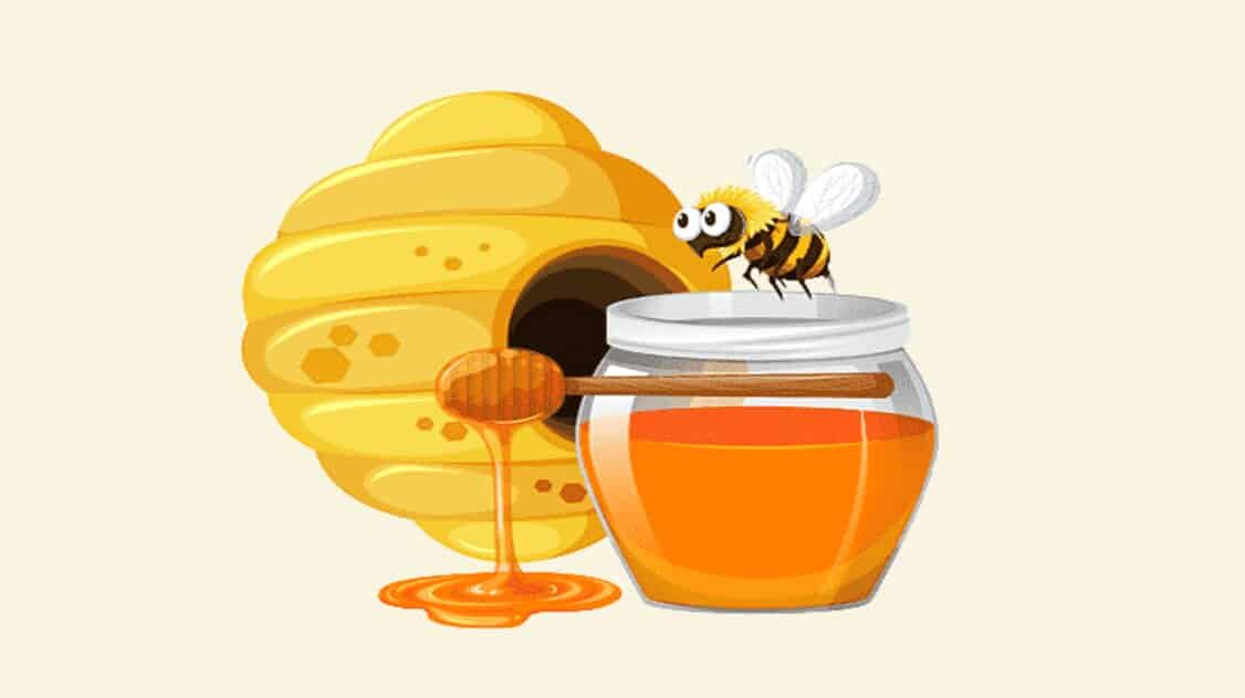 هل العسل مسموح في الكيتو؟ نعم ولكن بكميات قليلة