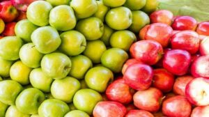 ما هي فوائد التفاح للرجيم هل ينقص الوزن؟