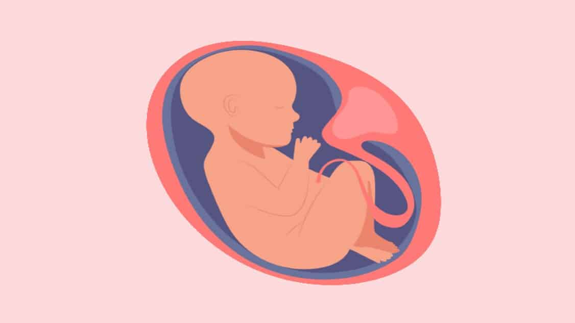 هل قلة حركة الجنين تدل على قرب الولادة أم تدل على امر خطير؟