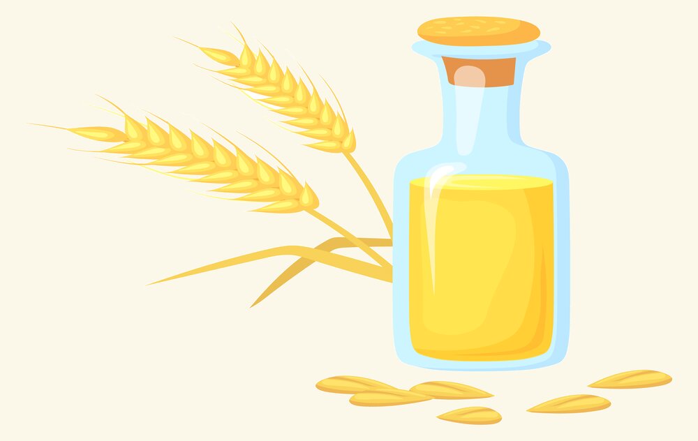 ما هي فوائد زيت جنين القمح الاصلي الصحية والتغذوية؟